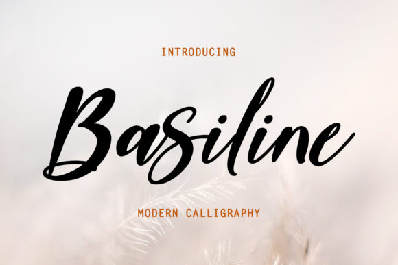 Basiline: The Script Font That Elevates Campaign Design