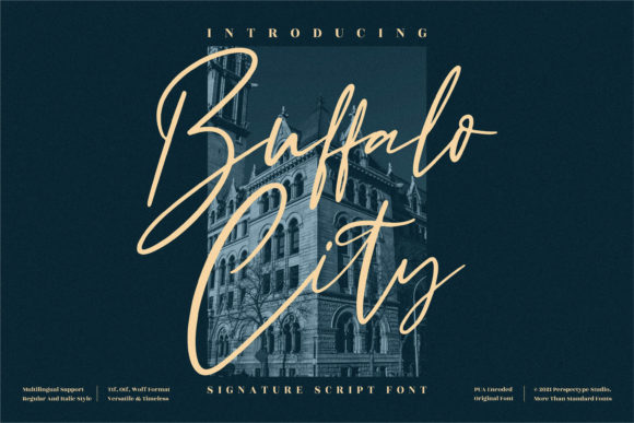Buffalo City Font: Elevate Your Web Design