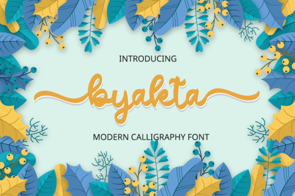 Byakta Typeface Review for Web Designers