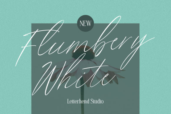 Flumbery White: A Playful Script Font for Web Design