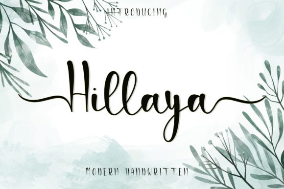 Hillaya Font: Elevate Your Campaign Visuals