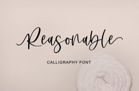 Reasonable Font: Elevate Your Campaign Visuals