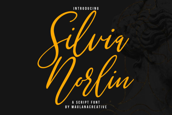 Silvia Norlin: A Script Font for Modern Campaigns