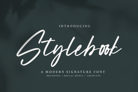 Stylebook: A Delicate Script Font for Modern Branding