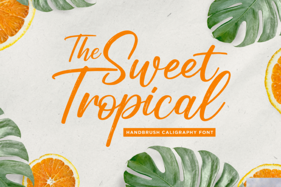 Sweet Tropical: A Script Font for Branding