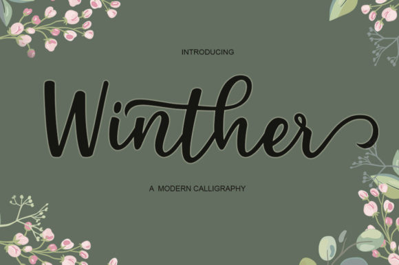 Winther: The Script Font for Scroll-Stopping Content